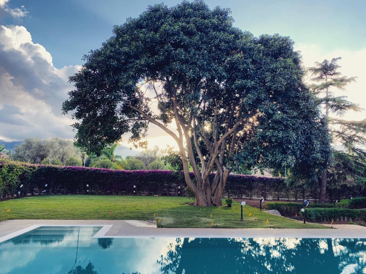 Il Giardino Di Venere Mondello